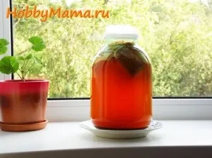 Простий рецепт приготування хлібного квасу з солодом, hobbymama