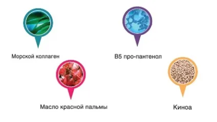 Процедура генового відновлення волосся adorn (процедура) Процедура генового відновлення волосся adorn