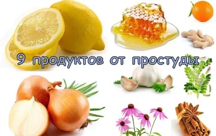 Застуда - причини, симптоми, лікування і профілактика (лікування) Застуда - причини, симптоми, лікування і профілактика