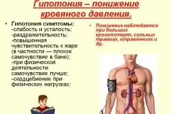 Пульс і кров'яний тиск