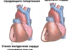 Пульс і кров'яний тиск