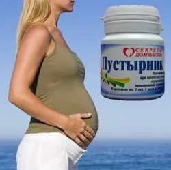 Собача при тиску настоянка, підвищує або знижує, як приймати (настоянка) Собача при тиску настоянка, підвищує або знижує, як приймати