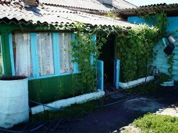 Путін їсть дітей, Пранк з Євгеном Вольнова