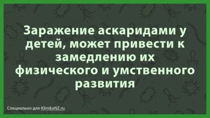 Шляхи передачі аскаридоза як можна заразитися аскаридою
