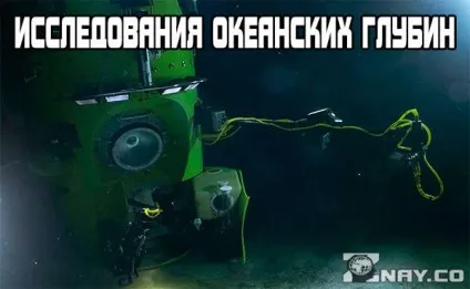 Птах канюк фото, як виглядає, спосіб життя, чим харчується, на кого полює хижак (Сарич) Птах канюк фото, як виглядає, спосіб життя, чим харчується, на кого полює хижак