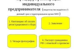 Розшифровка понять свідоцтва про Державну реєстрацію або ІН (розшифровка) Розшифровка понять свідоцтва про Державну реєстрацію або ІН