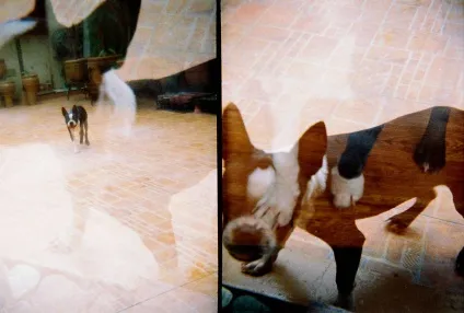Розкрито секрет створення ідеальної мультиекспозиція! · Lomography (області тіні ваших) Розкрито секрет створення ідеальної мультиекспозиція! · lomography