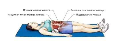 Розтяжка м'язів преса (преса) Розтяжка м'язів преса