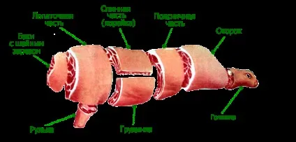оброблення туш