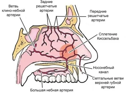 Розповім вам все про дитячі соплі про що говорить колір, консистенція і як лікувати (консистенція і як лікувати) Розповім вам все про дитячі соплі про що говорить колір, консистенція і як лікувати