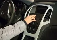 Реакція кішок на музику (музику) Реакція кішок на музику