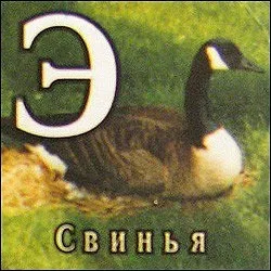 Розрив шаблону