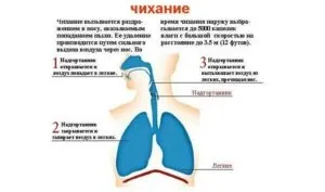 Дитина чхає і течуть соплі струмком що робити (струмком) Дитина чхає і течуть соплі струмком що робити