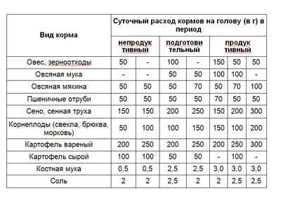 Розведення гусей - секрети бізнесу (гусей) Розведення гусей - секрети бізнесу