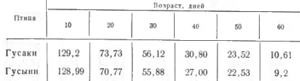 Розведення гусей - секрети бізнесу (розведення гусей в домашніх умовах відео на м'ясо з чого почати домашнє) Розведення гусей - секрети бізнесу