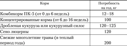 Розведення страусів в домашніх умовах (породи) Розведення страусів в домашніх умовах