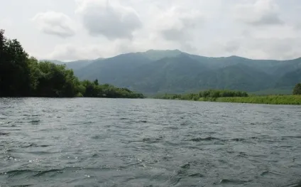 Річка швидка на камчатці