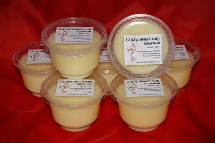 Розведення страусів в домашніх умовах (утримання) Розведення страусів в домашніх умовах