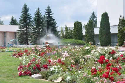 Реабілітація після хіміотерапії в санаторії «загорские дали» (хіміотерапії) Реабілітація після хіміотерапії в санаторії «загорские дали»