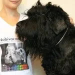 Основні щеплення собакам за віком таблиця (щеплення собакам віком таблиця) Основні щеплення собакам за віком таблиця