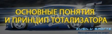 Основні поняття і принцип роботи тоталізатора