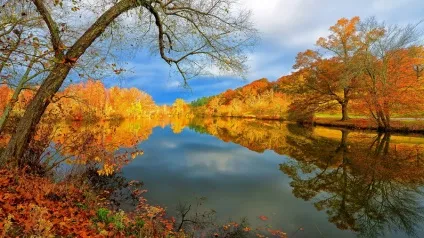 Осіння природа - красиві фото природи восени (восени) Осіння природа - красиві фото природи восени