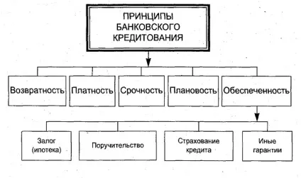 Основні принципи і умови банківського кредитування (використання позикових коштів) Основні принципи і умови банківського кредитування