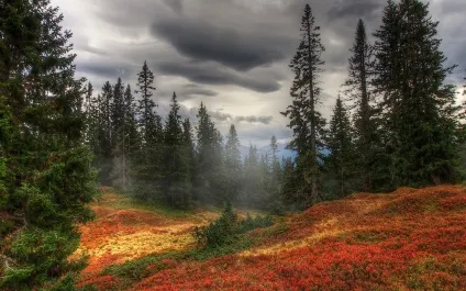 Осіння природа - красиві фото природи восени (восени) Осіння природа - красиві фото природи восени