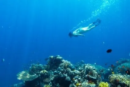 Основи підводної зйомки