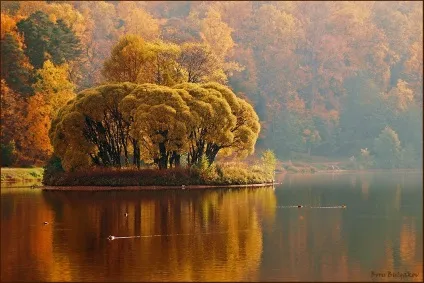 Осіння природа - красиві фото природи восени (природа) Осіння природа - красиві фото природи восени
