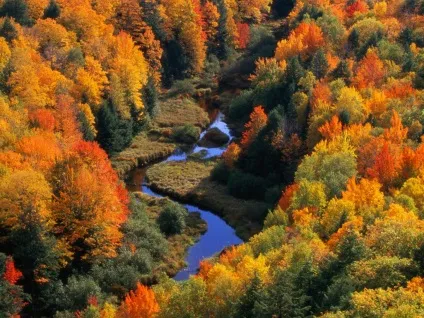 Осіння природа - красиві фото природи восени (природа) Осіння природа - красиві фото природи восени