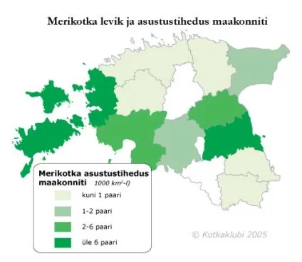 Орлан білохвіст - орли