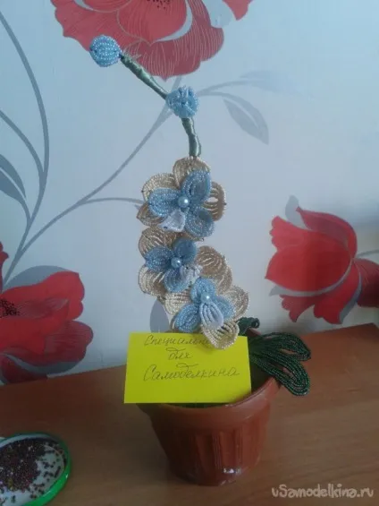 Орхідея з бісеру в квітковому горщику (горщику) Орхідея з бісеру в квітковому горщику