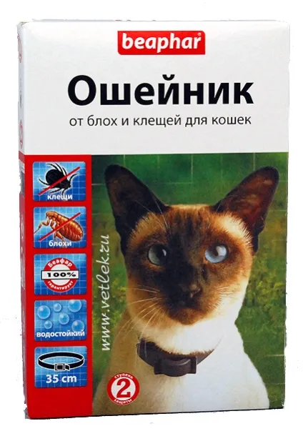 Нашийник для кішки