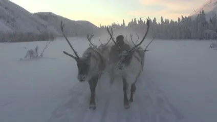 Республіка саха в Якутії, далекосхідний фо