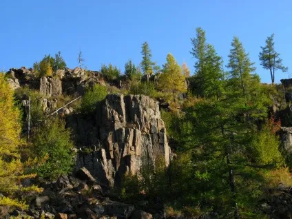 Республіка саха в Якутії, далекосхідний фо