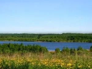 Риболовля в Савельєва в Підмосков'ї - офіційний сайт платній риболовлі, ціна та відгуки (рибалка) Риболовля в Савельєва в Підмосков'ї - офіційний сайт платній риболовлі, ціна та відгуки