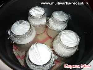 Рецепт йогурту в мультиварці Панасонік - готуємо в мультиварці - країна мам (рецепт) Рецепт йогурту в мультиварці Панасонік - готуємо в мультиварці - країна мам