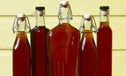 Рецепти самогону з дубової кори (кори) Рецепти самогону з дубової кори