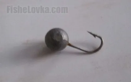 Риба гольян - опис, поведінку