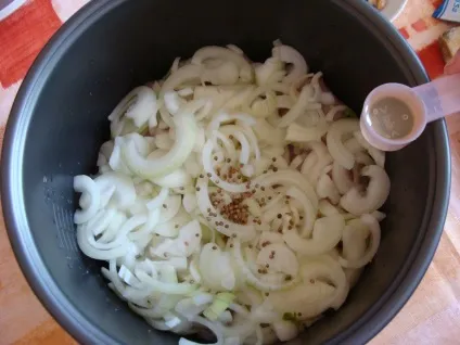 Рецепт сациві з курей (сациві з курей в мультиварці рецепт Панасонік) Рецепт сациві з курей