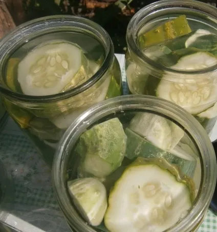 Рецепт огірки в томатної заливки з покроковими фото, люблю свій сад (покроковими) Рецепт огірки в томатної заливки з покроковими фото, люблю свій сад