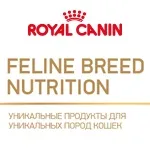 Royal canin mini starter (міні стартер)