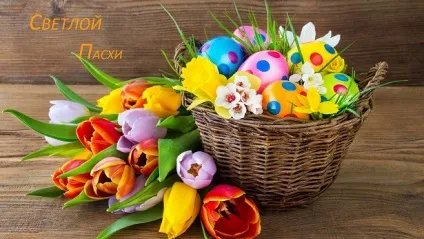 Рукола гусенічнік властивості користь і шкода склад рецепти салату (властивості) Рукола гусенічнік властивості користь і шкода склад рецепти салату