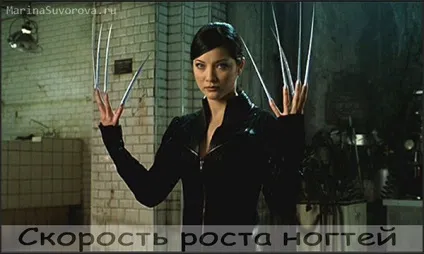 зростання нігтів