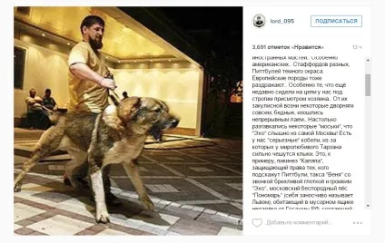 української опозиції погрожують собакою Кадирова Тарзаном, voronz (опозиції) української опозиції погрожують собакою Кадирова Тарзаном, voronz