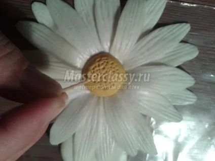 Ромашки для мами з холодного фарфору (ромашки з холодного фарфору майстер-клас) Ромашки для мами з холодного фарфору