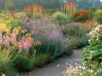 Романтичний сад в стилі прованс - 36 фото ландшафтного дизайну в манері французького кантрі, (стилі) Романтичний сад в стилі прованс - 36 фото ландшафтного дизайну в манері французького кантрі,