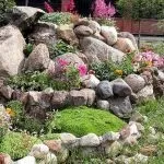 Сад по фен-шуй своїми руками (руками) Сад по фен-шуй своїми руками
