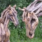 Садові скульптури своїми руками з підручних матеріалів (своїми) Садові скульптури своїми руками з підручних матеріалів